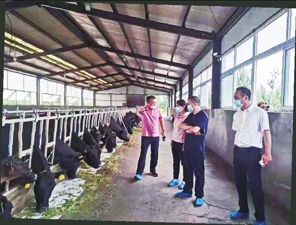 ���������I���|���lչ �L���l�����d�®���