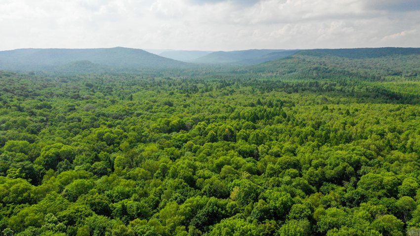 資料圖片。（趙冷冰 攝）