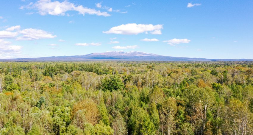 資料圖片。（趙冷冰 攝）