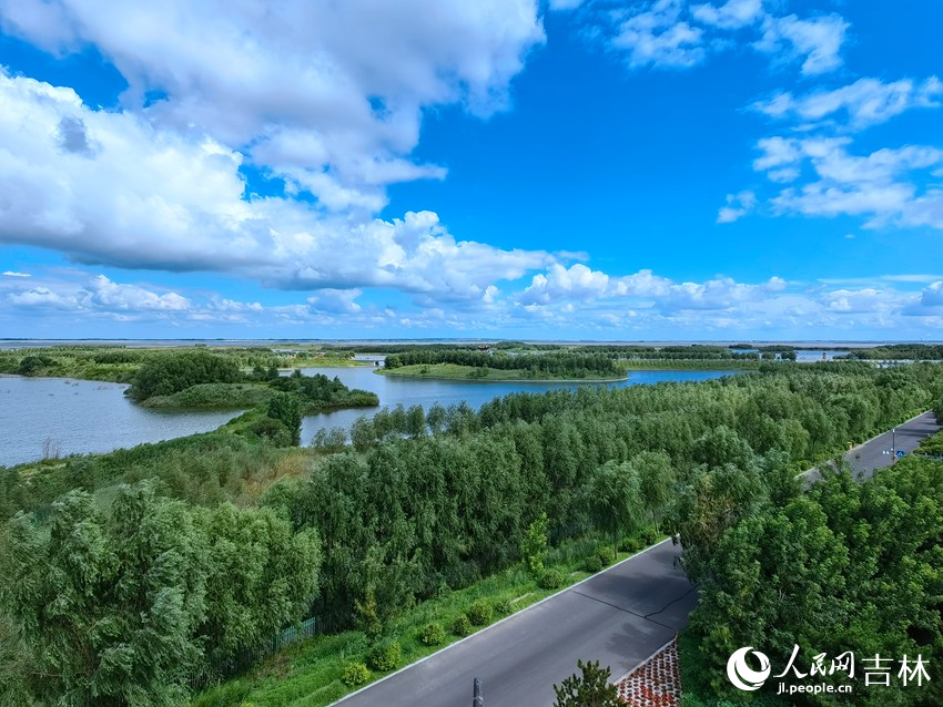 綠色生態屏障。人民網記者 馬俊華攝