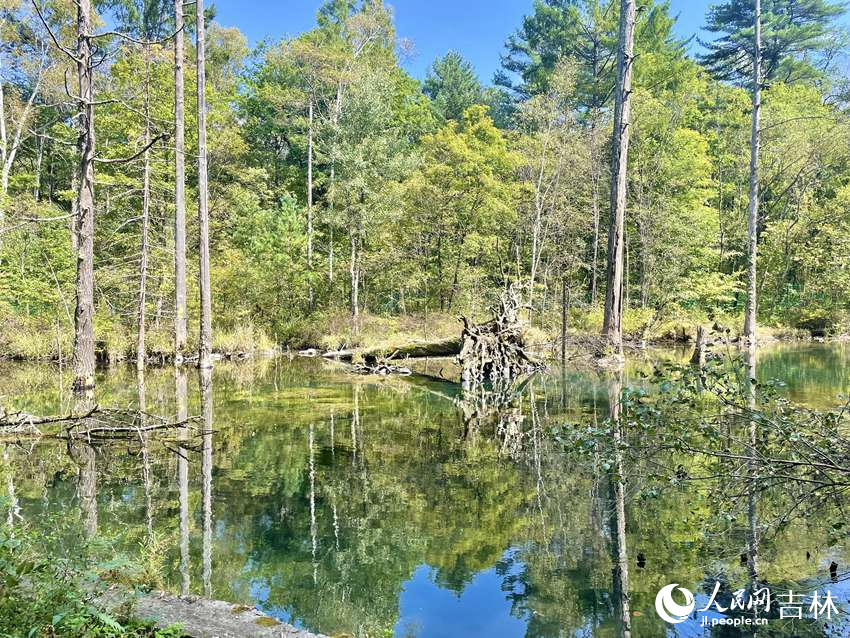 紅豐泉下游。人民網記者 李思玥攝