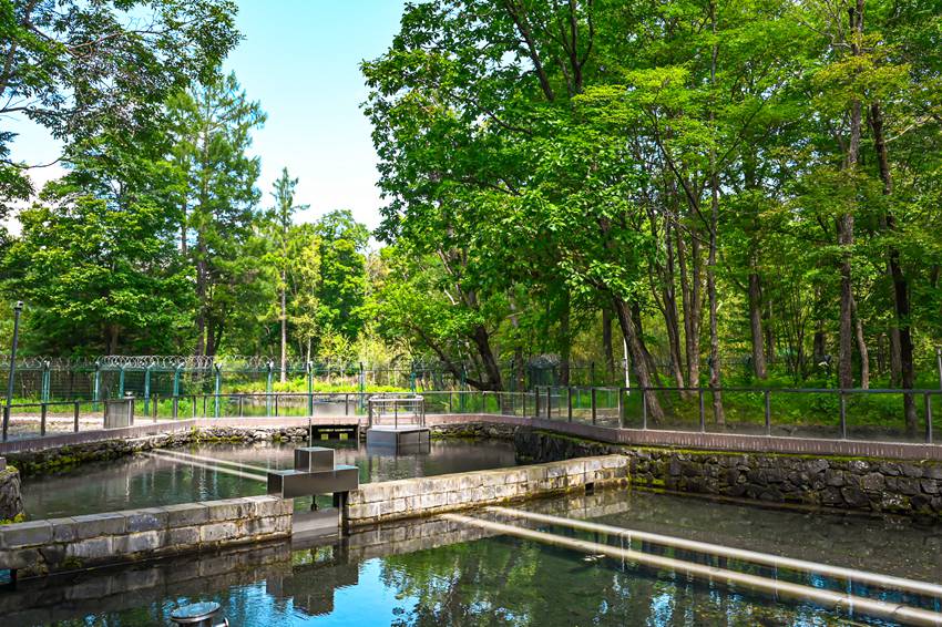 農心水源地。(安圖縣委宣傳部供圖)