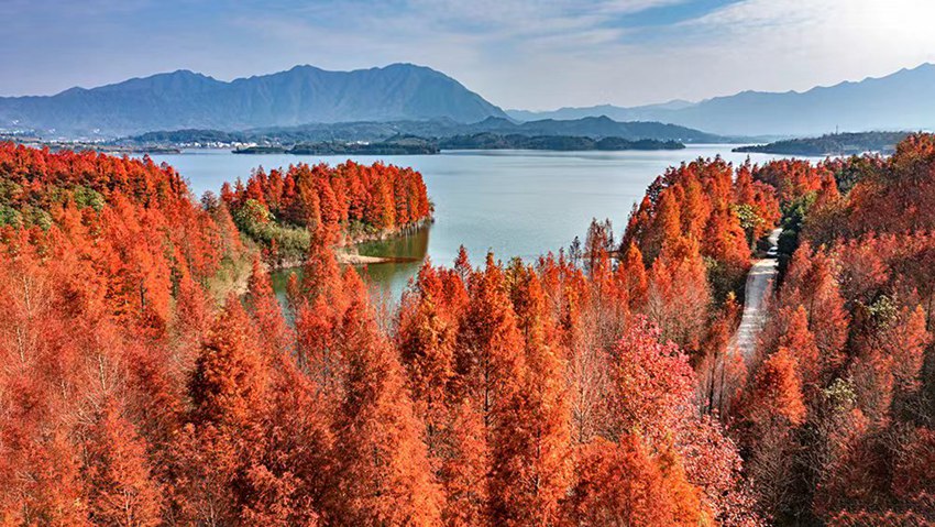 黃山美景。(黃山市供圖)