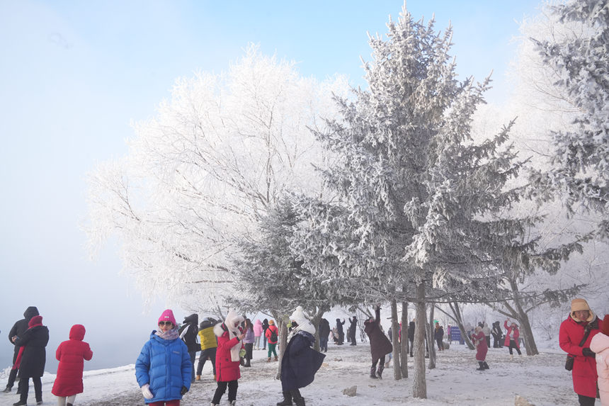 近日，吉林市迎來多場星級霧凇景觀。人民網記者 李洋攝