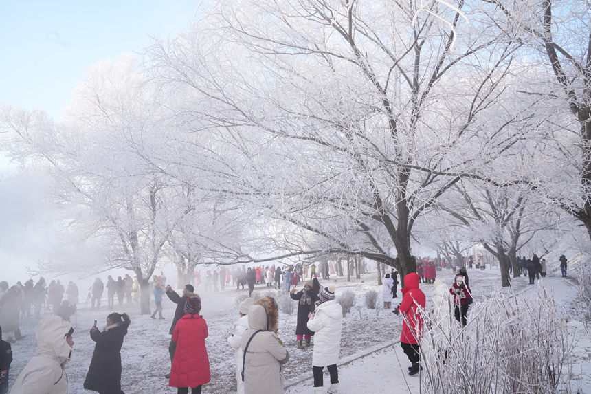 近日，吉林市迎來多場星級霧凇景觀。人民網(wǎng)記者 李洋攝