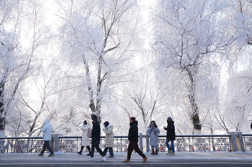 近日，吉林市迎來多場星級霧凇景觀。人民網(wǎng)記者 李洋攝