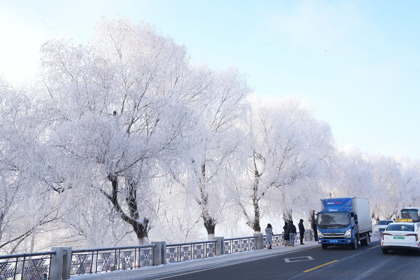 近日，吉林市迎來多場星級霧凇景觀。人民網(wǎng)記者 李洋攝