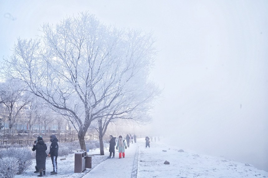 近日，吉林市迎來多場星級霧凇景觀。人民網記者 李洋攝