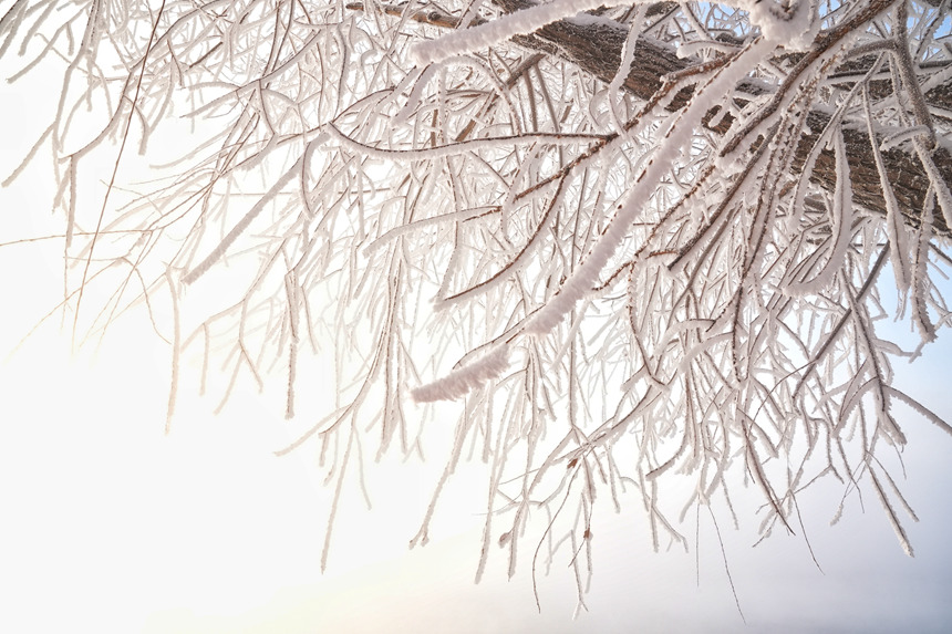 近日，吉林市迎來多場星級霧凇景觀。人民網記者 李洋攝