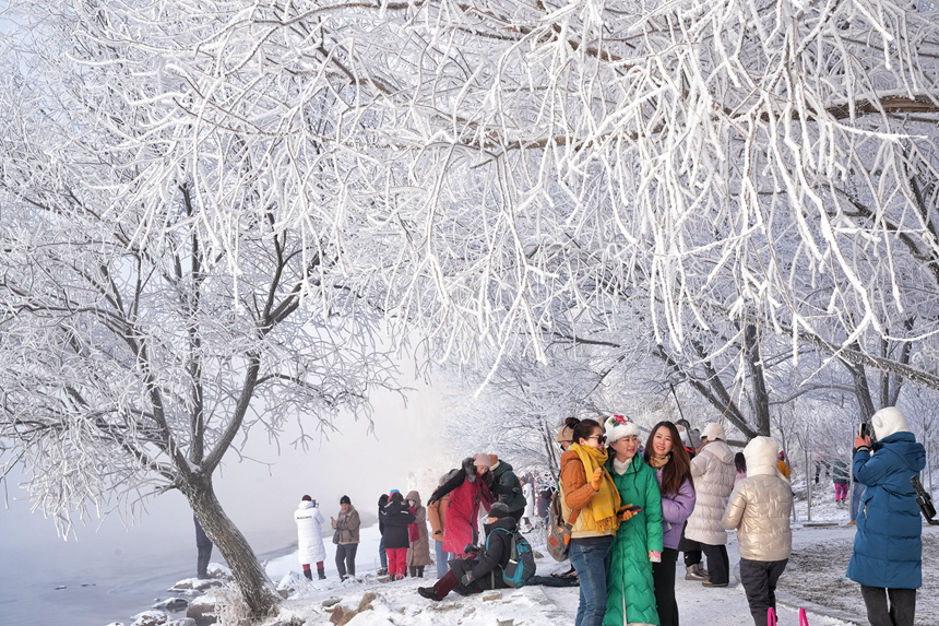 近日，吉林市迎來多場星級霧凇景觀。人民網記者 李洋攝