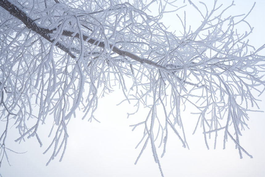 近日，吉林市迎來多場星級霧凇景觀。人民網記者 李洋攝