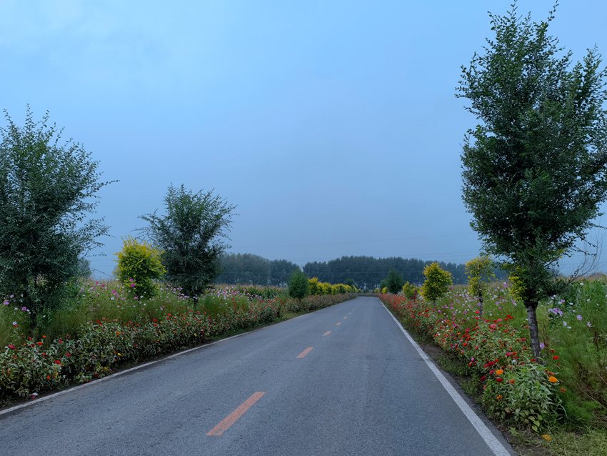 德惠市惠臺路一景。人民網(wǎng)記者 馬俊華攝