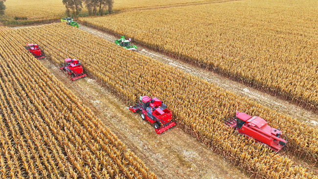 2023年德惠市喜迎豐收。(資料照片)德惠市委宣傳部供圖