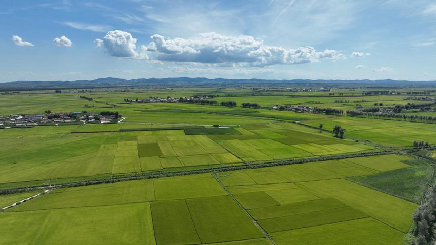 繪就農業現代化新畫卷。（德惠市委宣傳部供圖）
