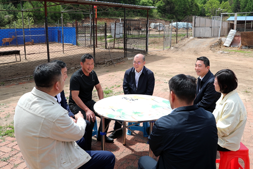 2023年5月22日,政協(xié)委員們到東豐調(diào)研梅花鹿產(chǎn)業(yè)。(徐子茵 攝)