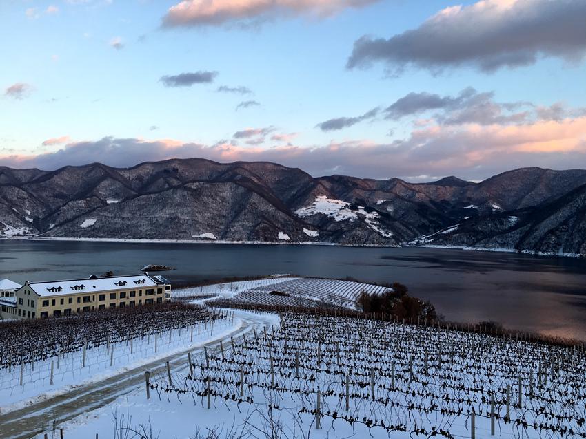 鴨綠江河谷產區。通化宣傳部供圖