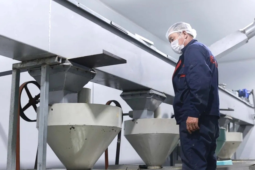 范家屯鎮乾程農民專業合作社的生產車間,工人在生產線上操作大豆經過清選、壓榨等工序