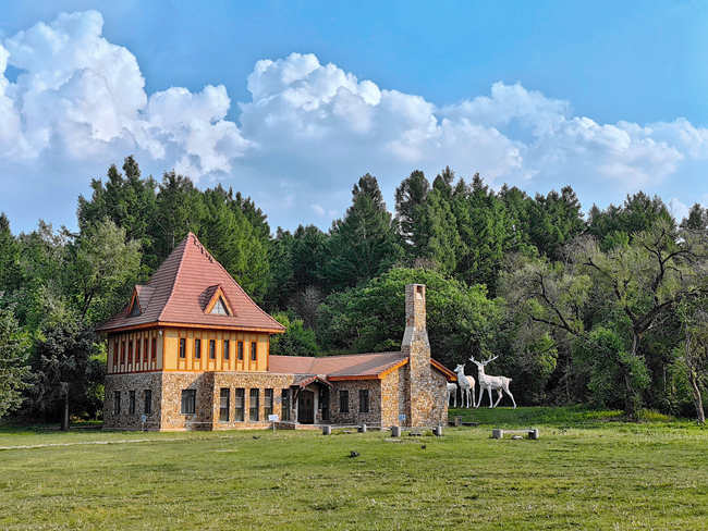 長(zhǎng)春凈月潭國(guó)家森林公園。人民網(wǎng)記者 李洋攝