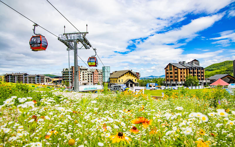 萬科松花湖滑雪度假區高山花海。