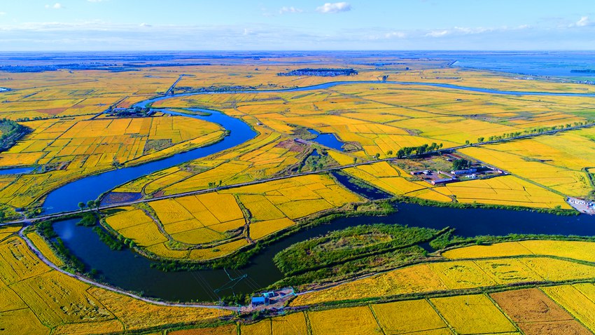鎮賚成為吉林省最大的水稻生產縣。潘晟昱攝