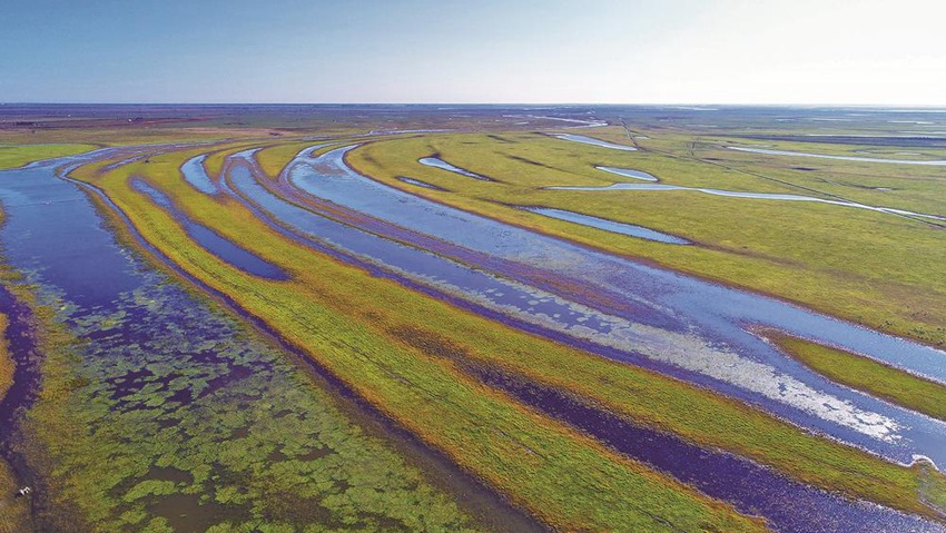 在嫩江鎮賚段的111.5公里中,眾多支流疏導江水,滋養生靈,形成了一道道美麗的風景。潘晟昱攝