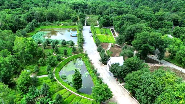 清川森林小院
