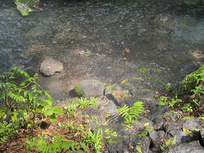 大雨過后，安圖長白山天然礦泉水產業園區內水霧彌漫，宛如仙境。人民網記者 李思玥攝