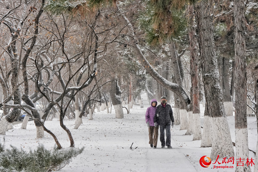 市民在公園中賞雪。人民網記者 李洋攝