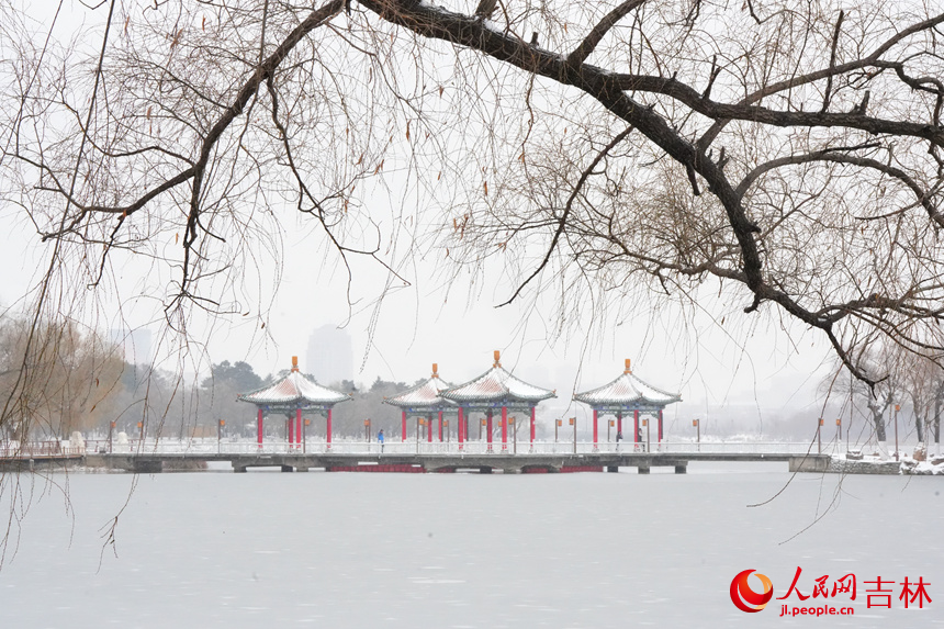 雪中長春南湖美景。人民網(wǎng)記者 李洋攝