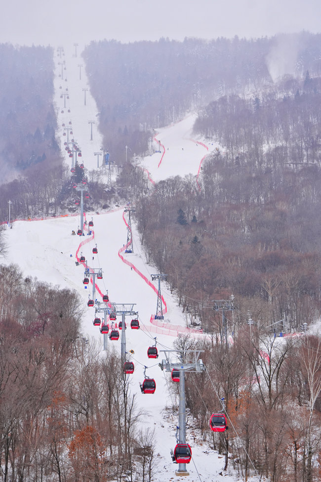 北大湖滑雪度假區直通山頂的纜車和雪道。人民網記者 李洋攝