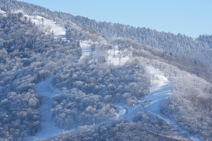 北大湖滑雪度假區高山霧凇景觀。人民網記者 李洋攝