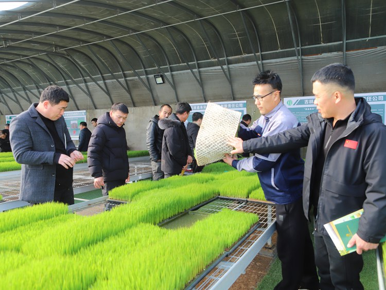 來貝公司負責人向青年農民介紹水稻育秧新技術