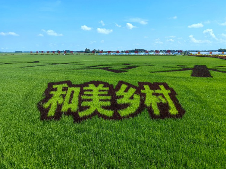 九臺區紅光村。人民網記者 李洋攝