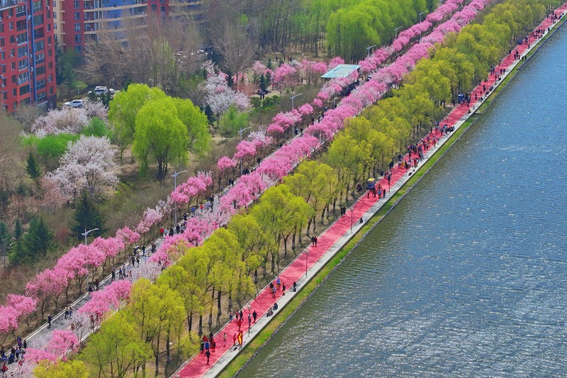 長(zhǎng)春伊通河春日景觀。人民網(wǎng)記者 李洋攝