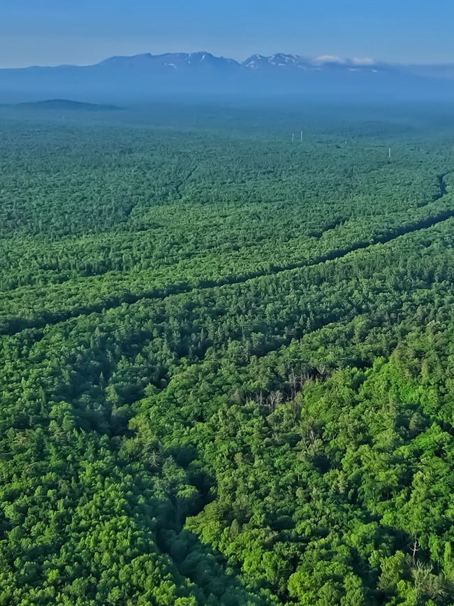 遠眺長白山。人民網(wǎng)記者 李洋攝