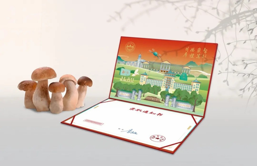 吉林農(nóng)業(yè)大學(xué)可食用的“蘑菇錄取通知書”。吉林農(nóng)業(yè)大學(xué)供圖