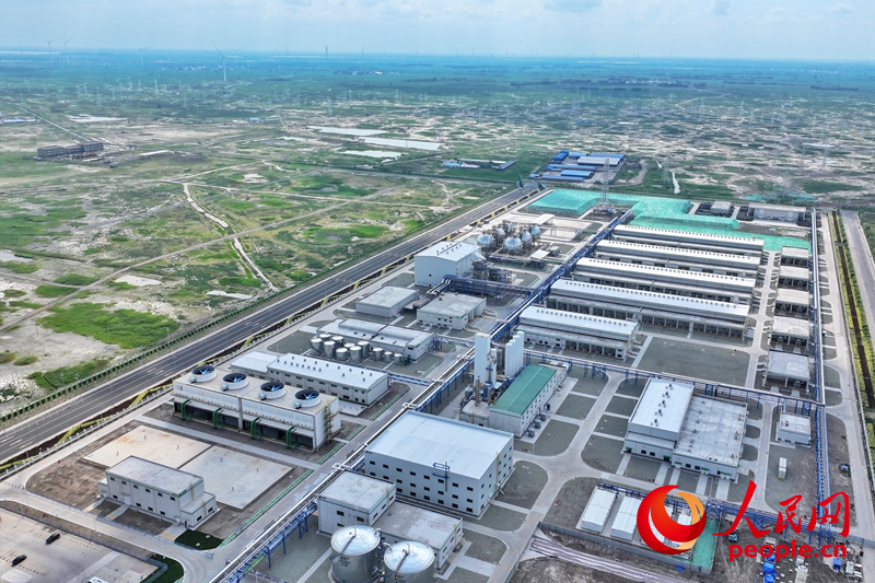 7月26日，吉林大安風光制綠氫合成氨一體化示范項目正式投產。人民網記者 李洋攝