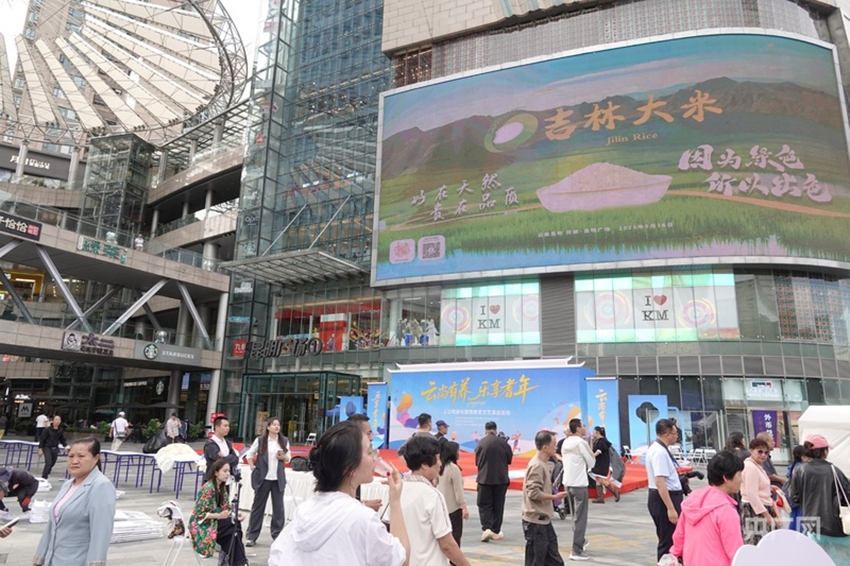 吉林大米“閃耀”昆明商圈(舒震 攝)