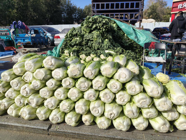 長(zhǎng)春市秋菜銷售點(diǎn)的秋菜。