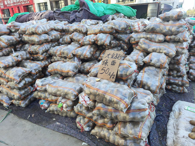 長(zhǎng)春市秋菜銷售點(diǎn)的秋菜。