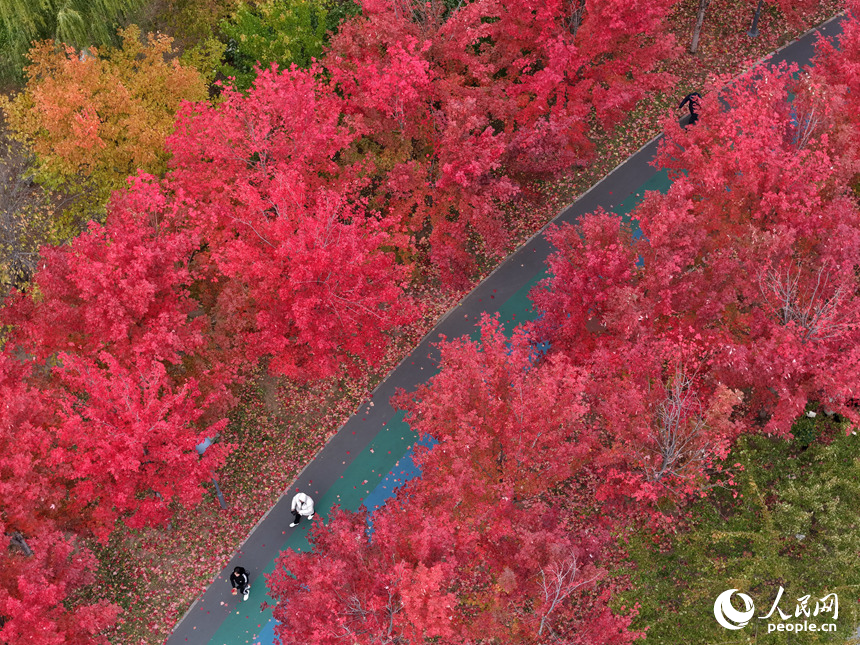 10月20日，長春月荷文化園秋意正濃。人民網(wǎng)記者 李洋攝
