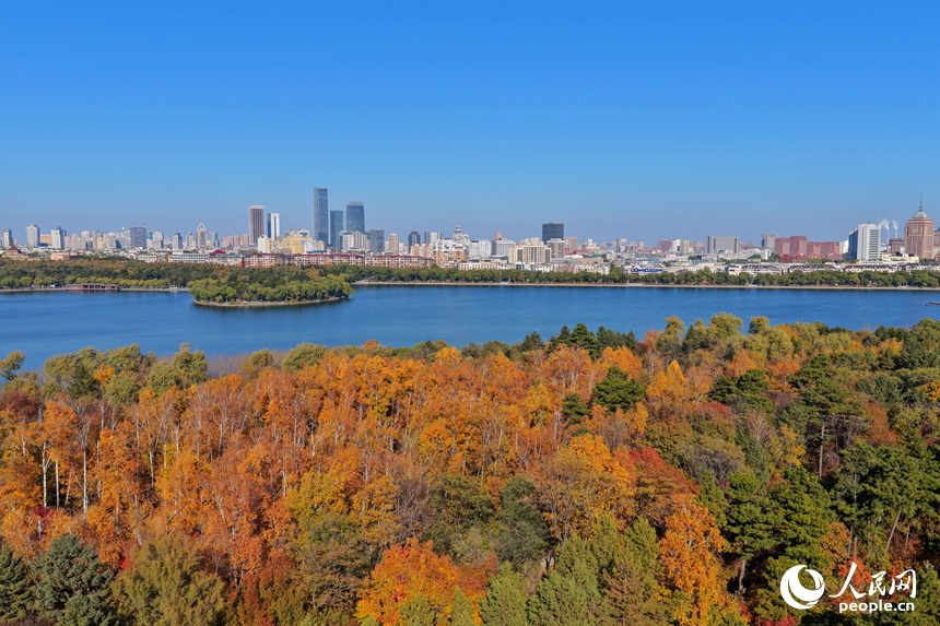 金秋時節，長春南湖公園層林盡染，秋景如畫。人民網記者 李洋攝