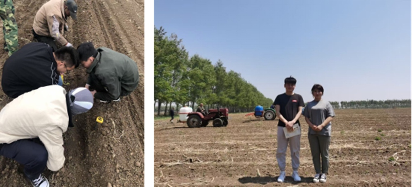 核查單元建設實施效果。