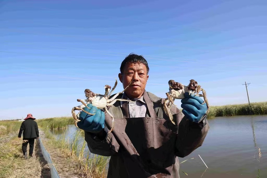 糧漁雙收,農(nóng)戶增收(受訪者供圖)