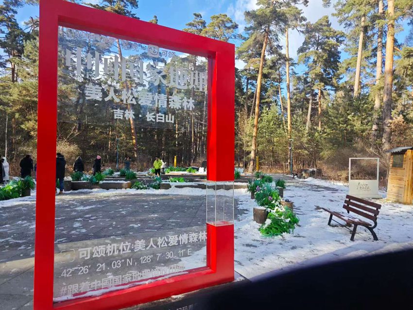 “吉林冰雪煥新季”主題采訪行丨長白山美人松愛情森林等你浪漫打卡