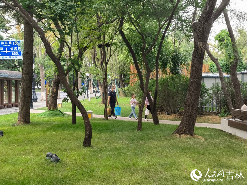 新民大街口袋公園。人民網(wǎng)記者 馬俊華攝