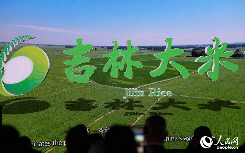 與會嘉賓深入了解吉林大米。人民網記者 李洋攝