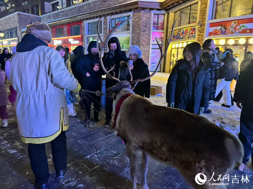 馴鹿巡游吸引游客駐足圍觀。人民網記者 李思玥攝