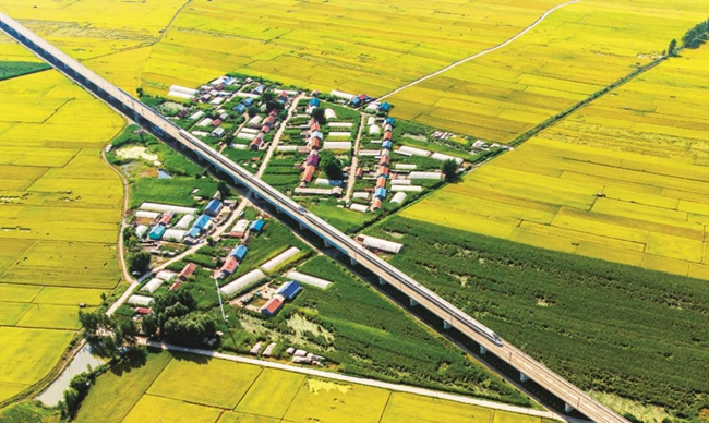 “復興號”飛馳在田野上