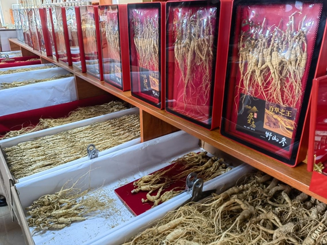 百草之王。人民網(wǎng)記者 馬俊華攝